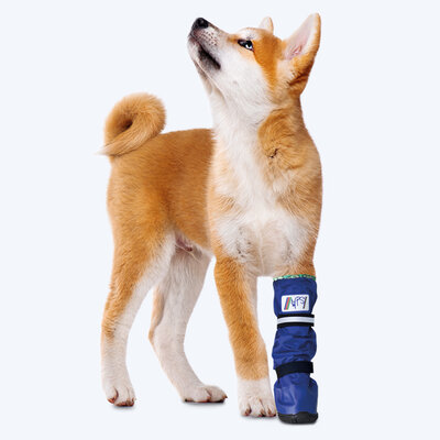 Medical Pet Boot 1