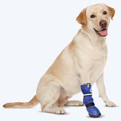 Medical Pet Boot 2