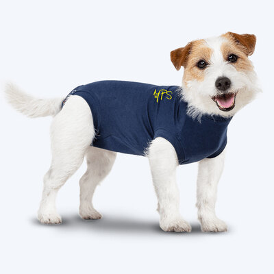 MPS Shirt Dog 1