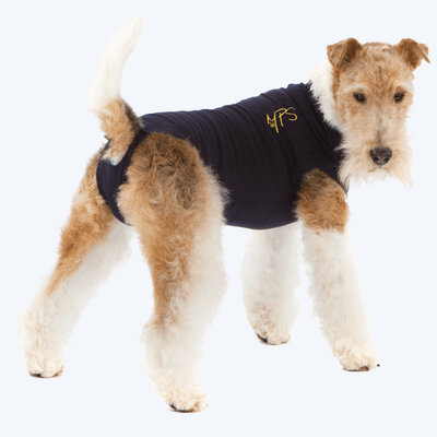MPS Shirt Dog 3