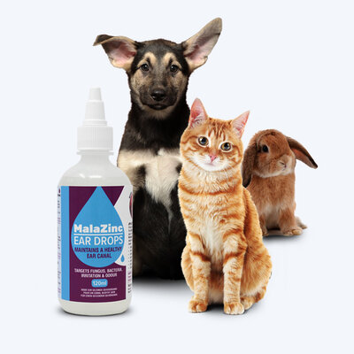 Malazinc Clinical Study Intro