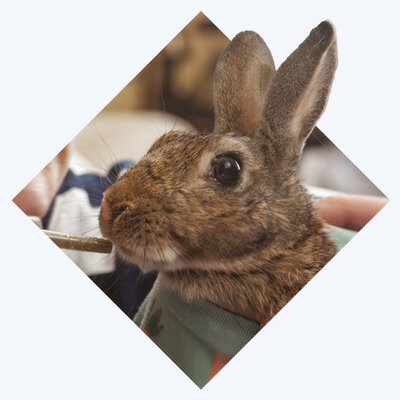 Assisted Feeding Blog Intro