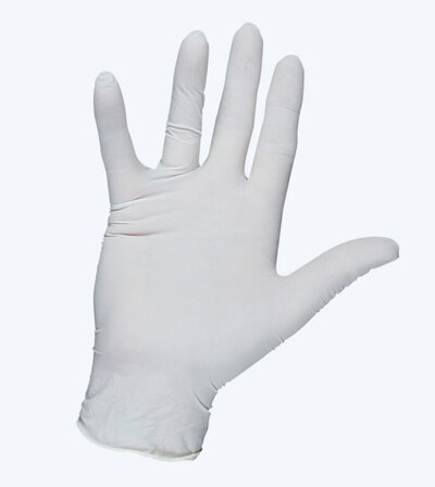 MP Latex gloves 2019