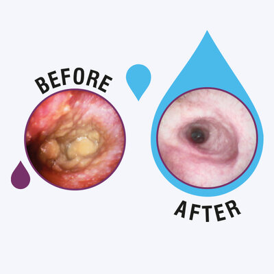 Before After Malazinc